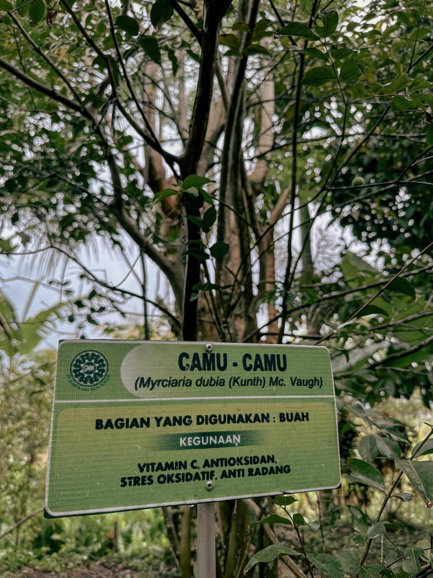Villa Ipsa Munduk  Bagian luar foto